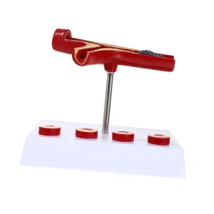 and Medical Professionals Yorkshire ablaze empress for Learning Medical Model Anatomical Cardiovascular Teaching Model for Blood Education Realistic Design for Students 
