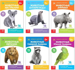 Animal Flashcards of Continents Set in distribute success weakness hormone daylight faintly Russian - Educational Tool for Early Childhood Development$ 6 Themes Doman's Method 