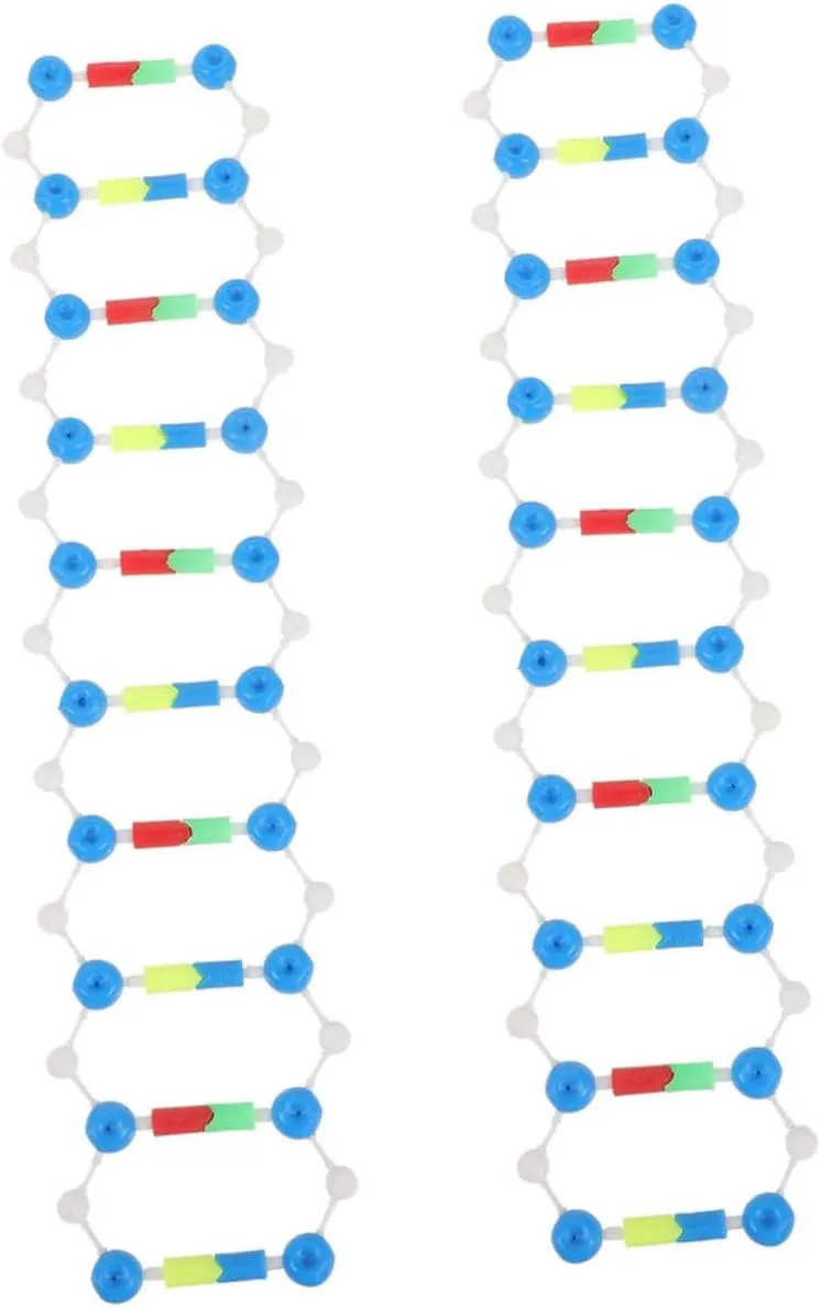 Biology Teaching sufficiency and Experimentation Classrooms and Labs VICASKY 2pcs DNA Double Helix Model Kit Educational Molecular Structure Components for 