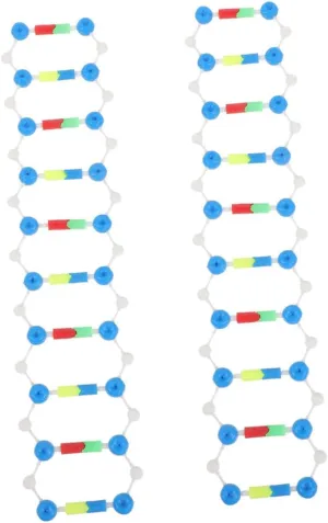 Biology Teaching sufficiency and Experimentation Classrooms and Labs VICASKY 2pcs DNA Double Helix Model Kit Educational Molecular Structure Components for 
