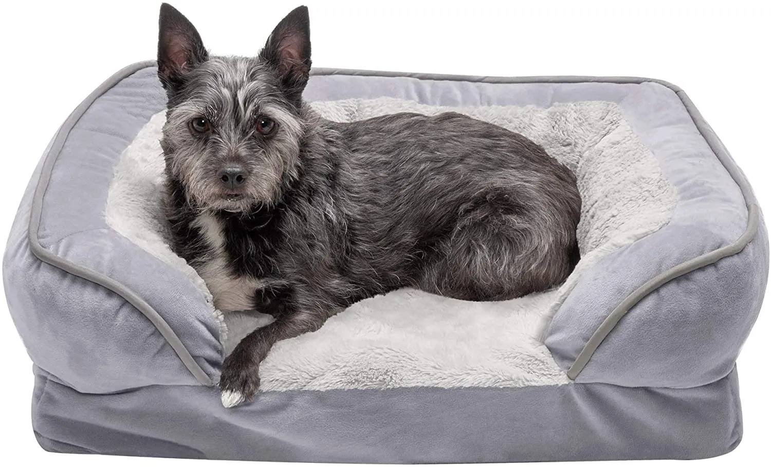 ComfiTime Orthopedic, Cooling Gel, and Memory Foam Pet Beds for Small, Medium, and Large Dogs and Cats - Luxe Perfect Comfort Sofa Dog Bed, Performance Linen Sofa Dog Bed, and More