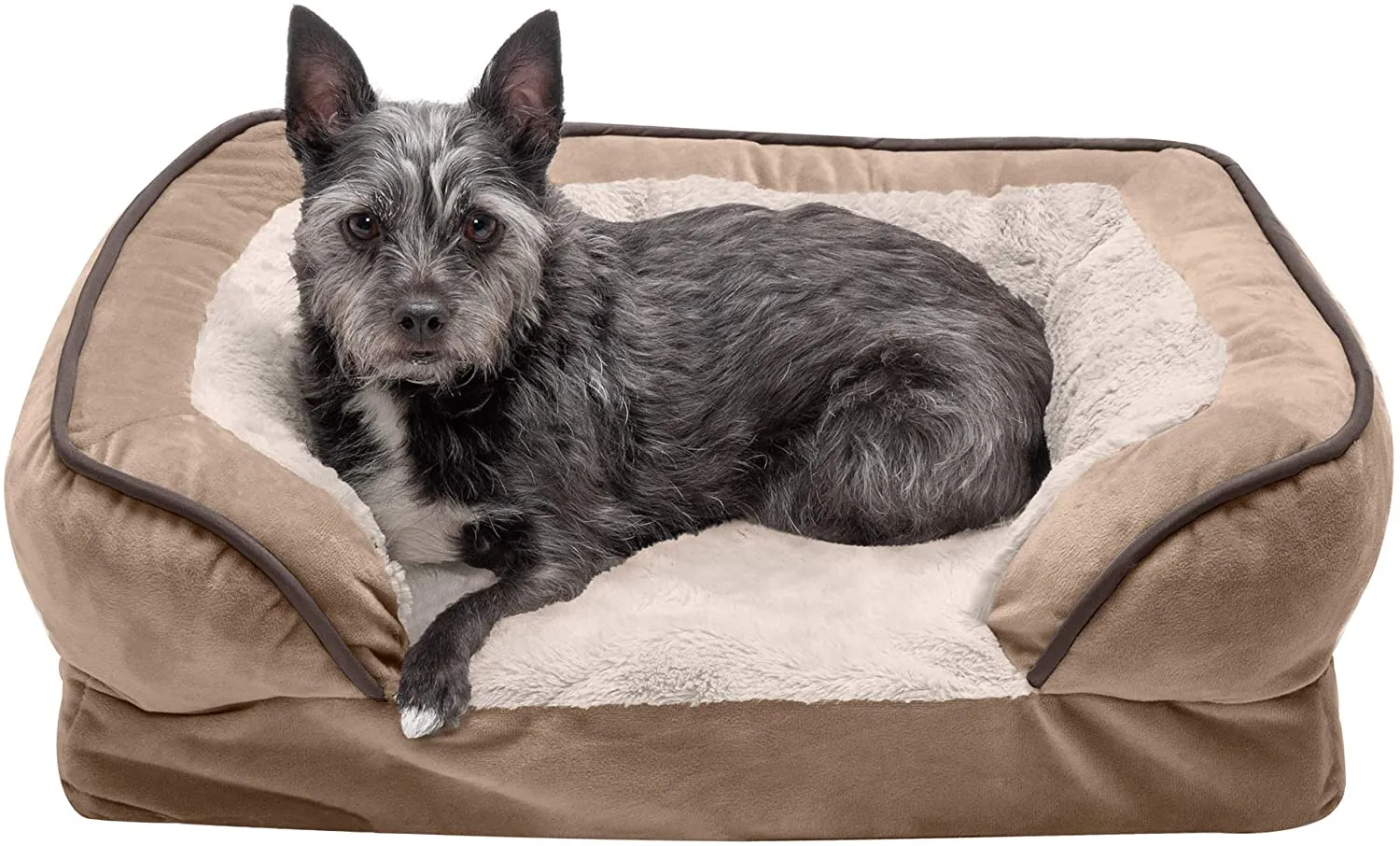 ComfiTime Orthopedic, Cooling Gel, and Memory Foam Pet Beds for Small, Medium, and Large Dogs and Cats - Luxe Perfect Comfort Sofa Dog Bed, Performance Linen Sofa Dog Bed, and More