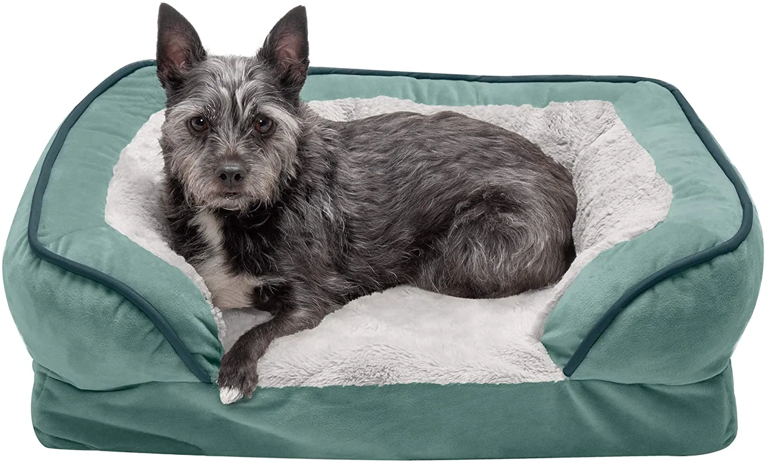 ComfiTime Orthopedic, Cooling Gel, and Memory Foam Pet Beds for Small, Medium, and Large Dogs and Cats - Luxe Perfect Comfort Sofa Dog Bed, Performance Linen Sofa Dog Bed, and More