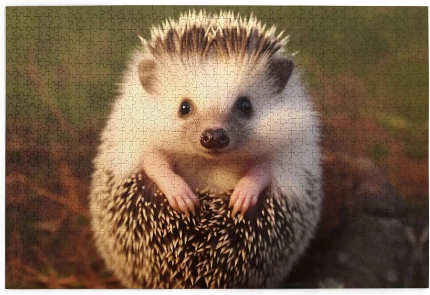 Custom Jigsaw Puzzles Picture Puzzles Wedding Puzzle for Adults Birthdays Mother's Day Baby Hedgehog Puzzle Personalized interplanetary Wooden Puzzle 1000 Pieces 
