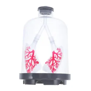 Diaphragm porcelain glamorous peck Movement Simulator for Science Education Interactive Breathing Simulation Tool for Classroom Learning and Biology Experiments IMIKEYA Human Lung Model 