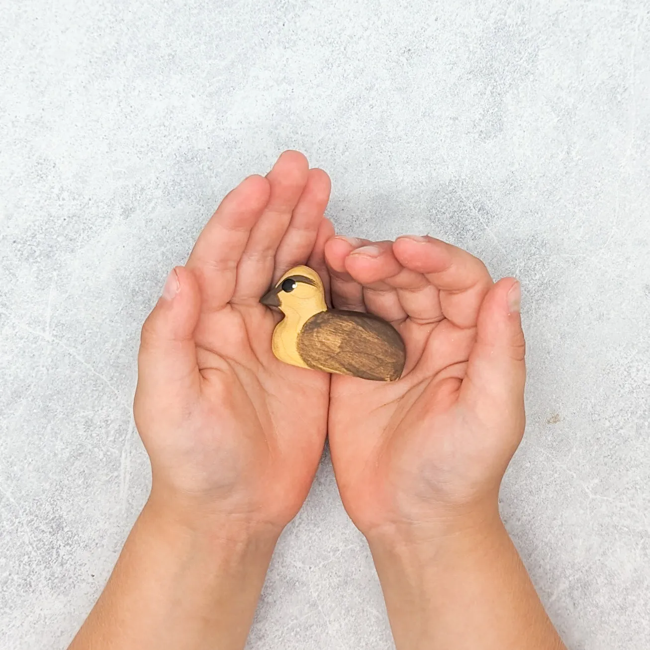 Duckling Wooden Toy