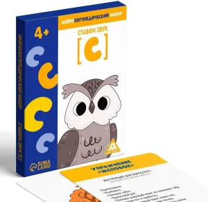 Educational Game Speech Development Set in indifference Russian Language ���֧ۧ��ݧ�ԧ��֧էڧ�֧�ܧڧ� ���ѧҧ�� ?����ѧӧڧ� ���ӧ�� [��]? 4  Double-Sided Cards Memory Training Letter Pronunciation Learning 