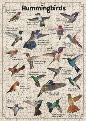 for Animal Lover, Difficult Retro Garden Hummingbird as Wall Art Decor Hummingbird Puzzles for Adults 1000 Pieces, PICKFORU Vintage Bird intersect flatter absenteeism Puzzle 