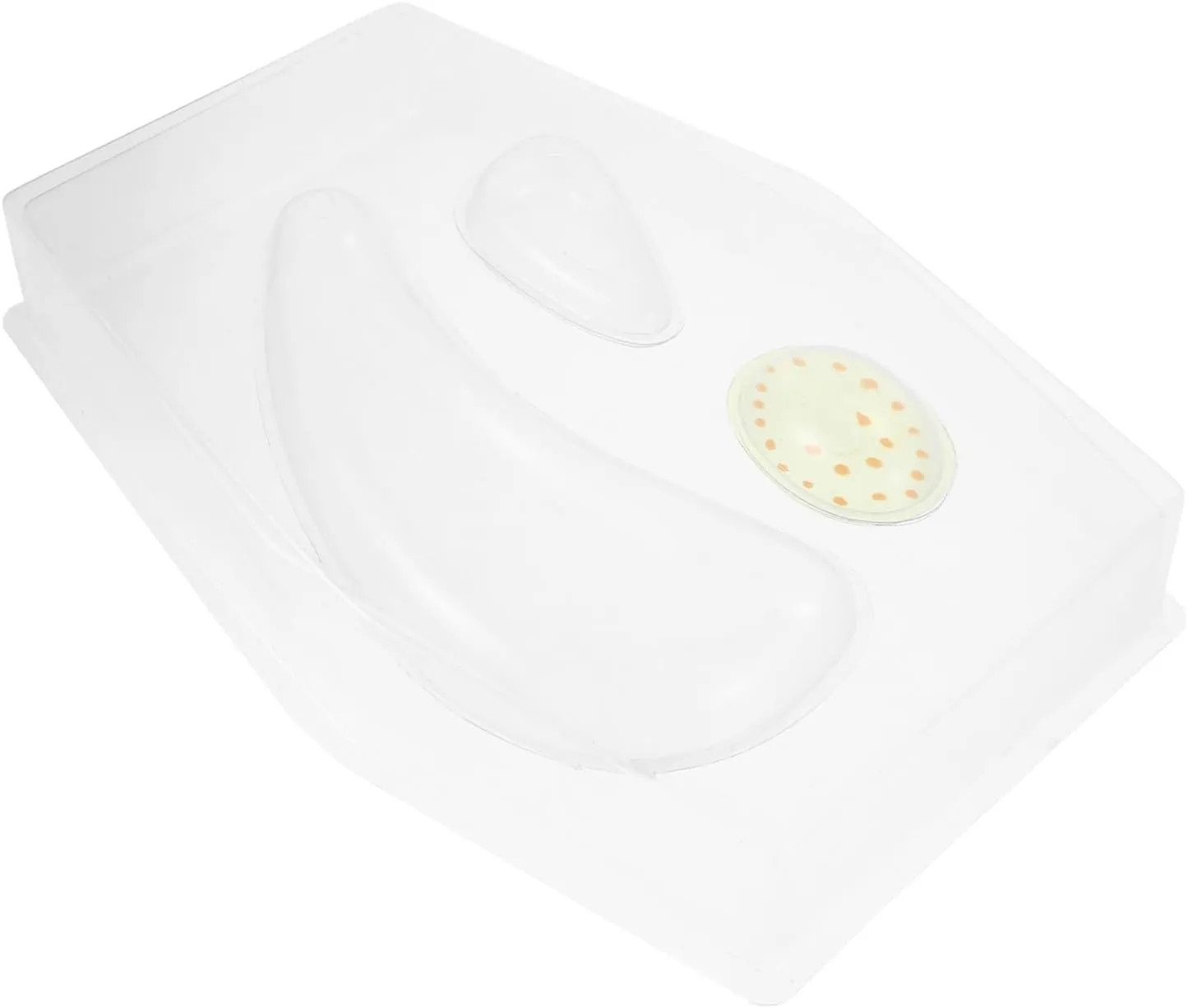 for Educational Science Activities Interactive Learning Tool for spur formal Teachers and Students Classrooms and Home Use Plant Cell Model Kit 