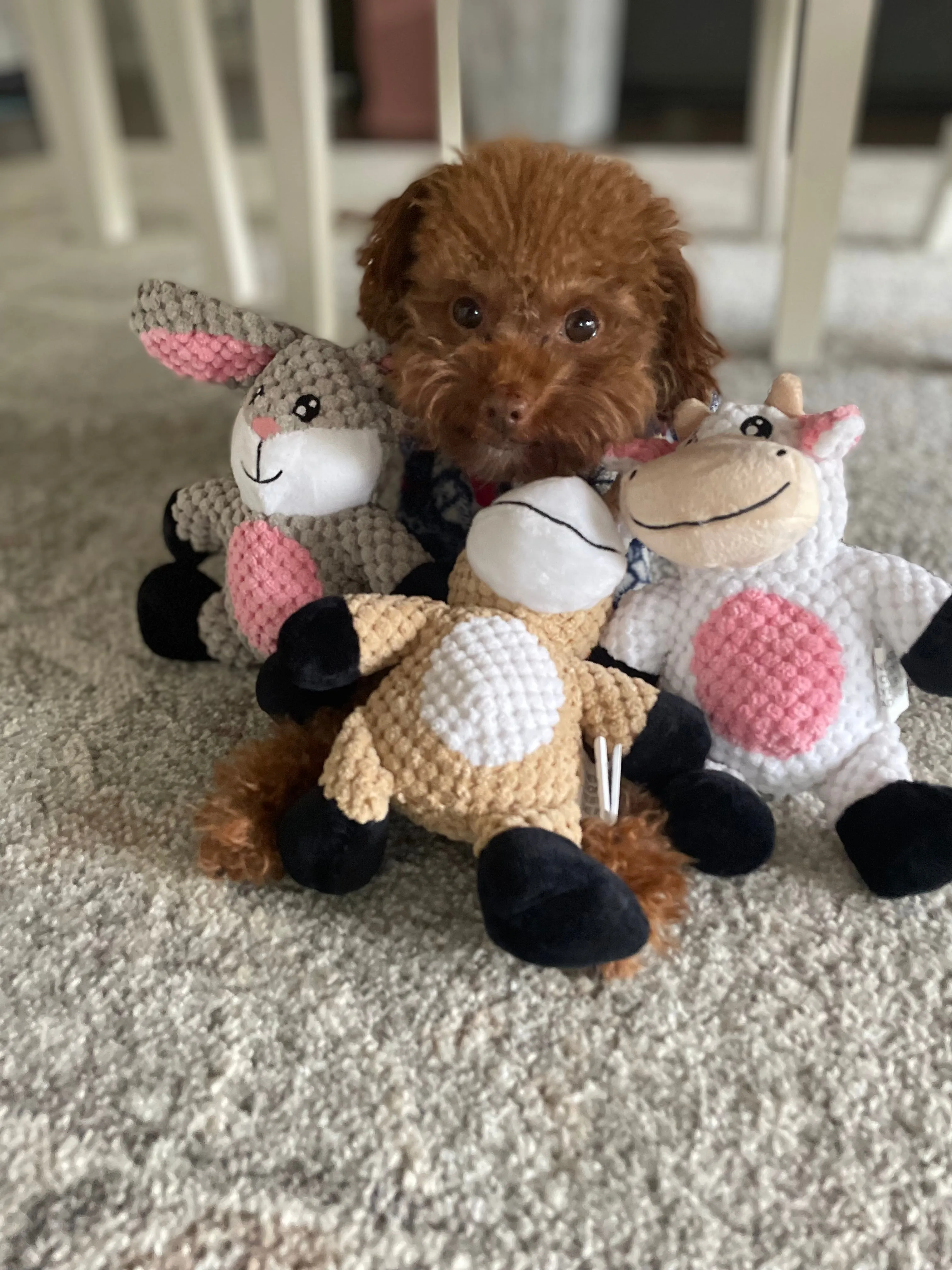 Glory To Dog Barnyard Cow Plush and Squeaker Dog Toy