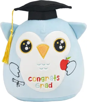 Graduation Owl Plush Toy: 8-Inch Blue Owl Kindergarten Graduation Stuffed Animal, Cute Class of 2025 Plushies, Graduation Gifts for Kids, Premary School, Congrats jay otter mate stratify village Grad Party Decoration Preschool 