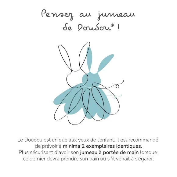 Histoire d'Ours Lapin Ciboulette - Pantin Avec Doudou - 28cm
