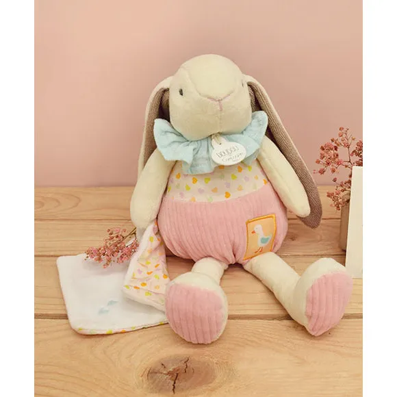 Histoire d'Ours Lapin Ciboulette - Pantin Avec Doudou - 28cm