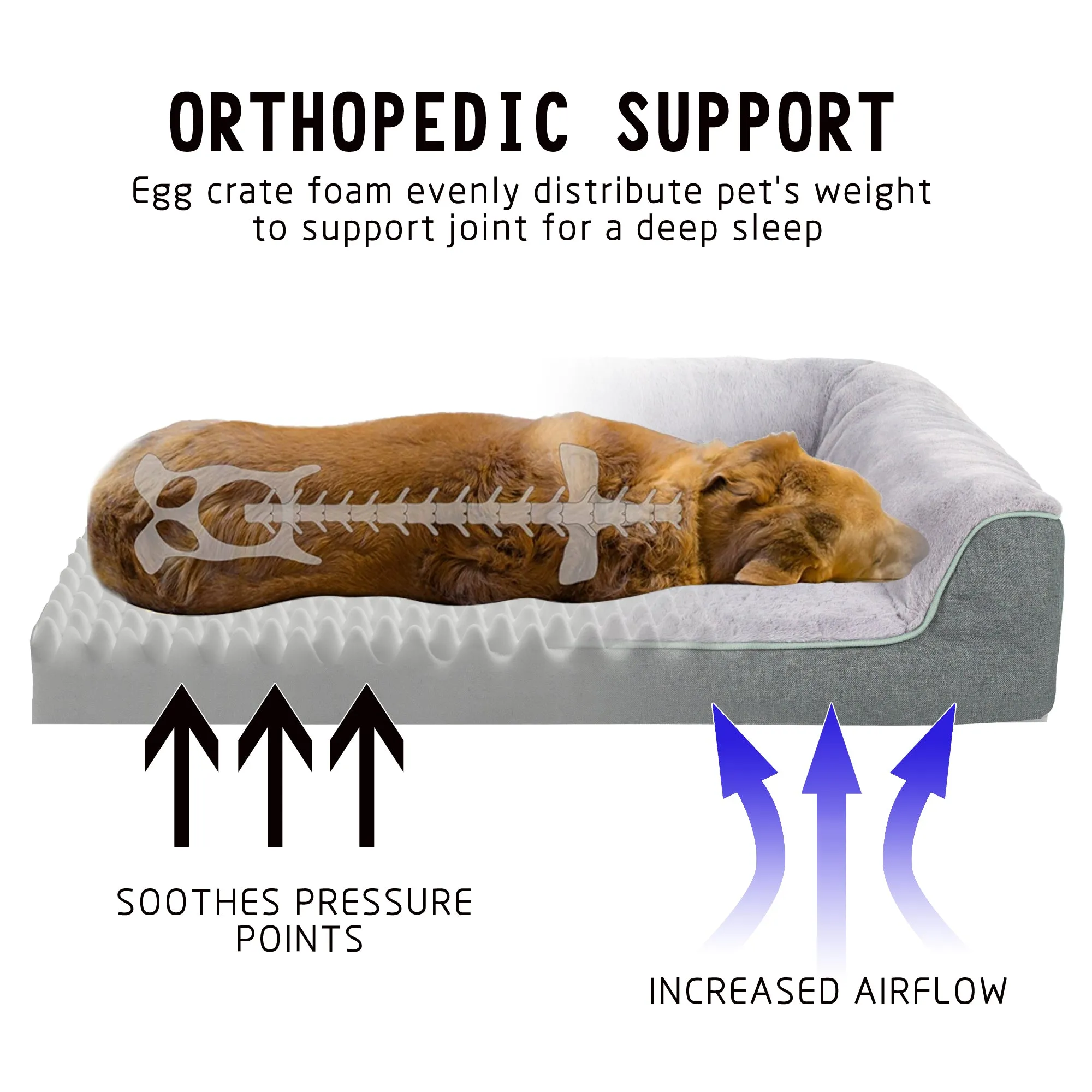 LFC PETS Orthopedic Dog Bed - Waterproof Dog Foam Sofa with Removable Washable Cover, Thick Bolster Rim - Couch Dog Bed for Small Medium Large Dogs