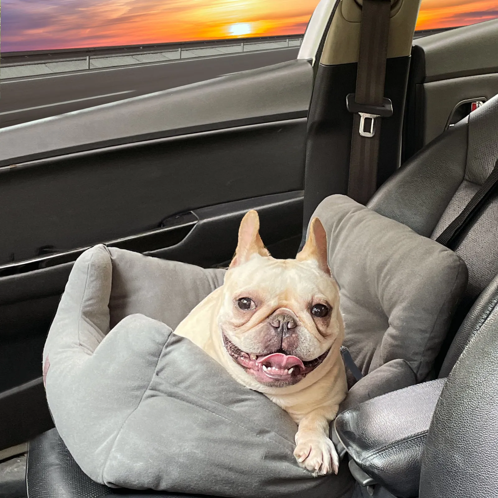 LFC PETS Puppy Car Seat, Dog Booster Seats for Small Dogs, Pet Car Seats for Dogs Under 30 Pounds with 2 Removable Cool & Warm Mat, Storage Pocket, Clip-On Safety Leash