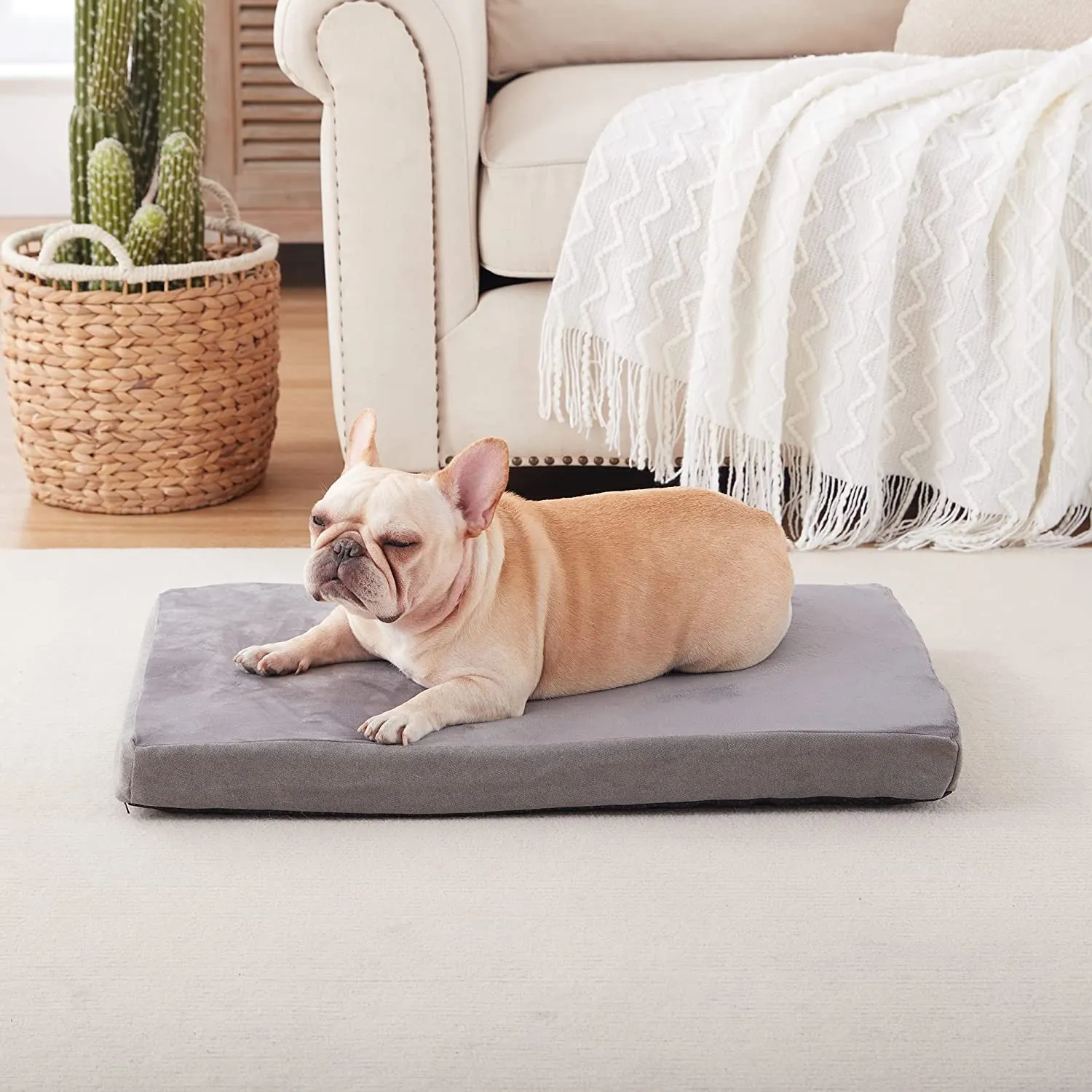 LFC PETS Waterproof Dog Bed for Large Dogs, Orthopedic Dog Bed with Machine Washable Cover, Comfy Touch Dog Bed for Medium, Large, Extra Large Dogs