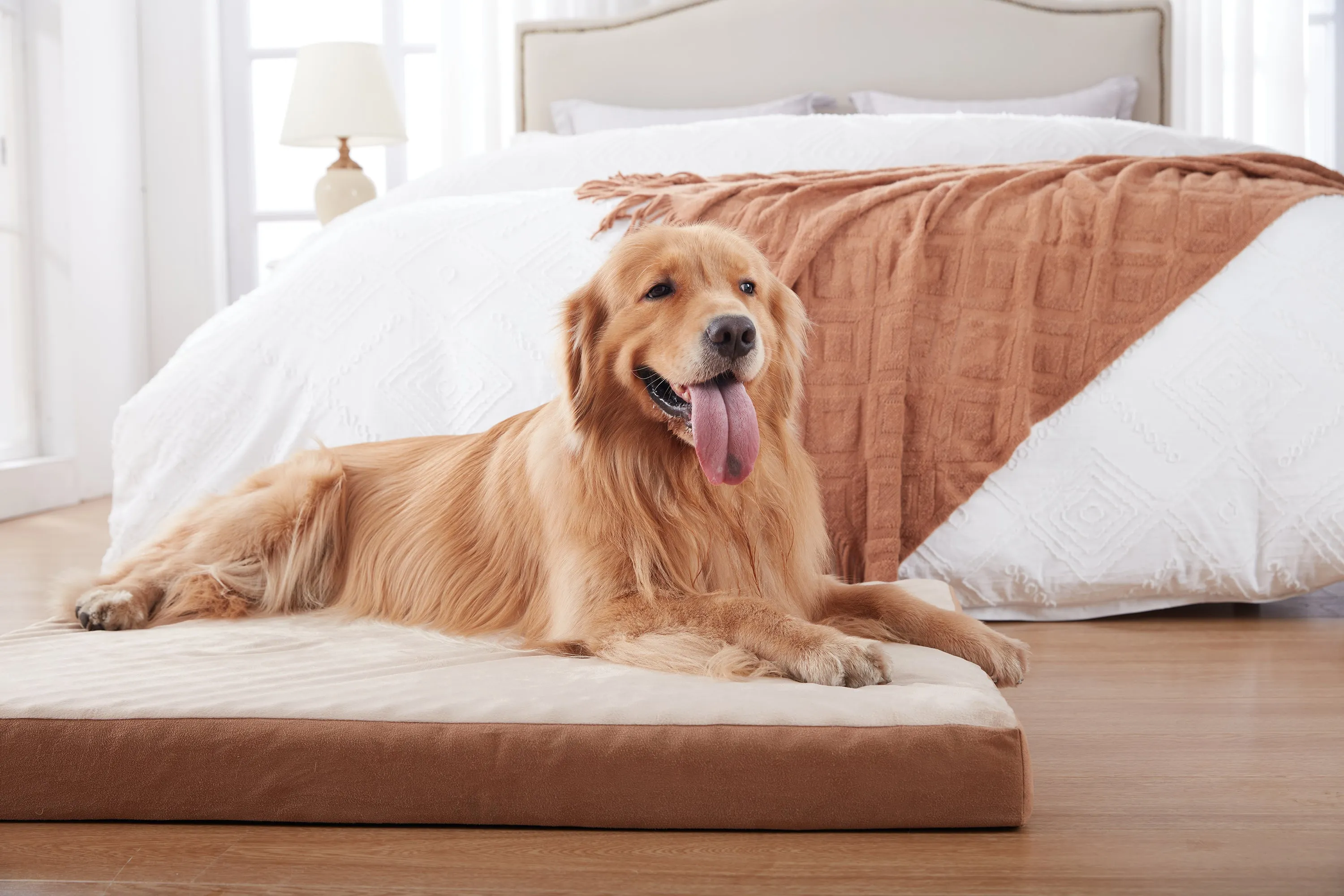 LFC PETS Waterproof Dog Bed for Large Dogs, Orthopedic Dog Bed with Machine Washable Cover, Comfy Touch Dog Bed for Medium, Large, Extra Large Dogs