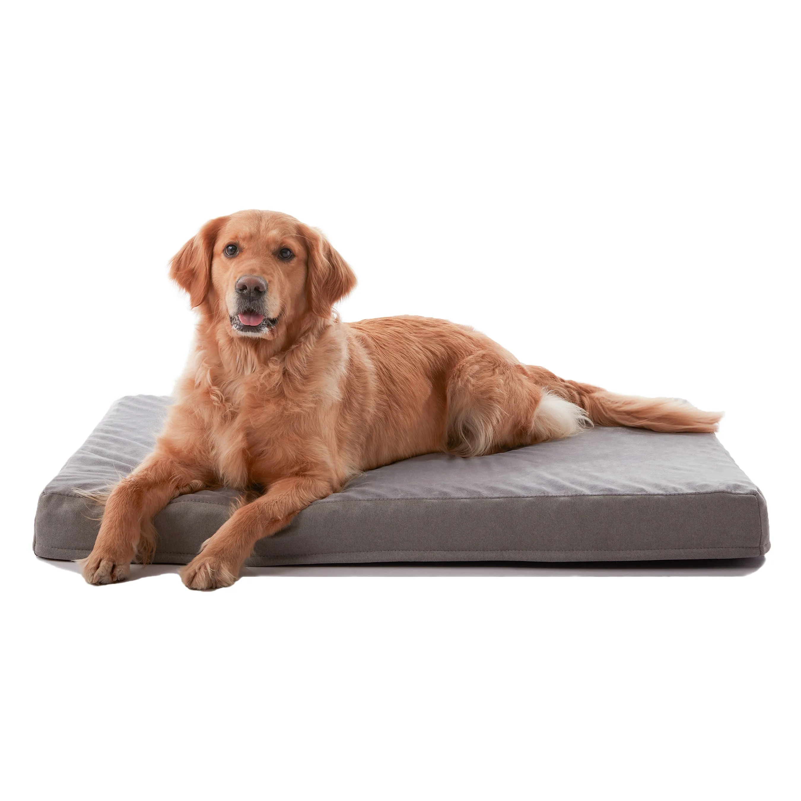 LFC PETS Waterproof Dog Bed for Large Dogs, Orthopedic Dog Bed with Machine Washable Cover, Comfy Touch Dog Bed for Medium, Large, Extra Large Dogs