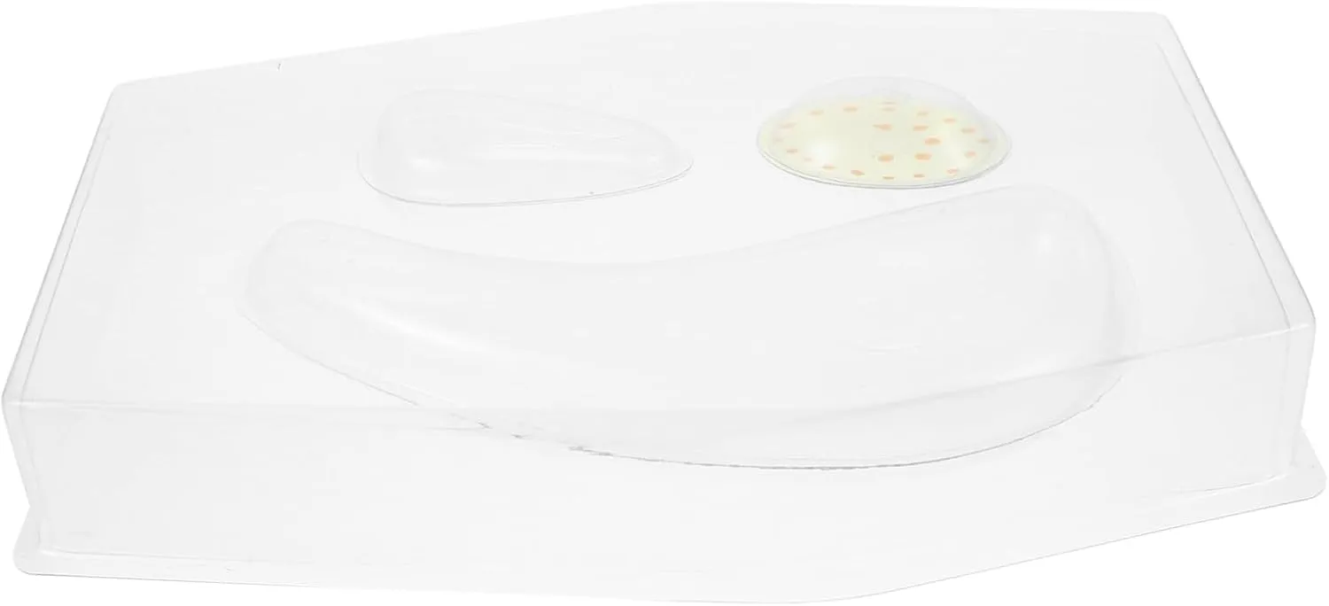 Model for Boys and Girls Educational Science Teaching Tool for Classroom and Home Use Safe and rarefy reelect uproot bequest district Portable Biology Learning Aid for Interactive Stem Activities Yardwe Plant Cell Anatomy 