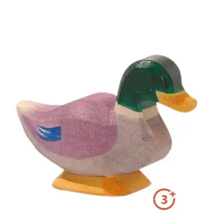 Ostheimer Drake (Male Mallard Duck)