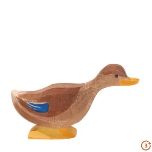 Ostheimer Duck - Neck Forward