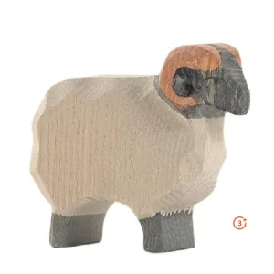 Ostheimer Moorland Ram