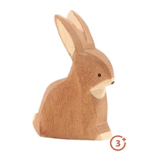 Ostheimer Rabbit - Sitting