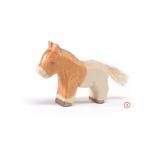 Ostheimer Shetland Foal