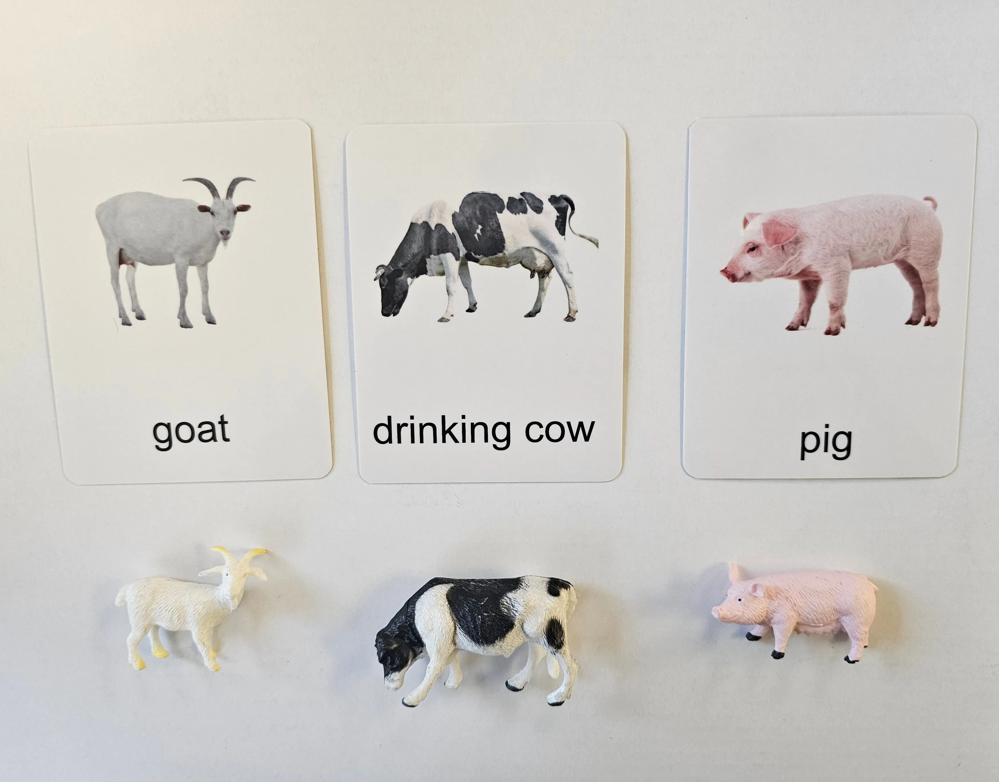 Poultry Animals with Cards
