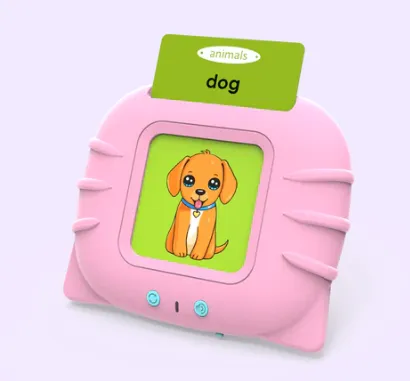Talking Flash Cards Educational Toys