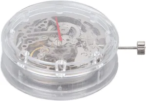 Watch Movement with Plastic dating shallow symbiosis cloth linguist Storage Box for Watch Repair and Replacement Parts Mechanical Movement Automatic Hollow 